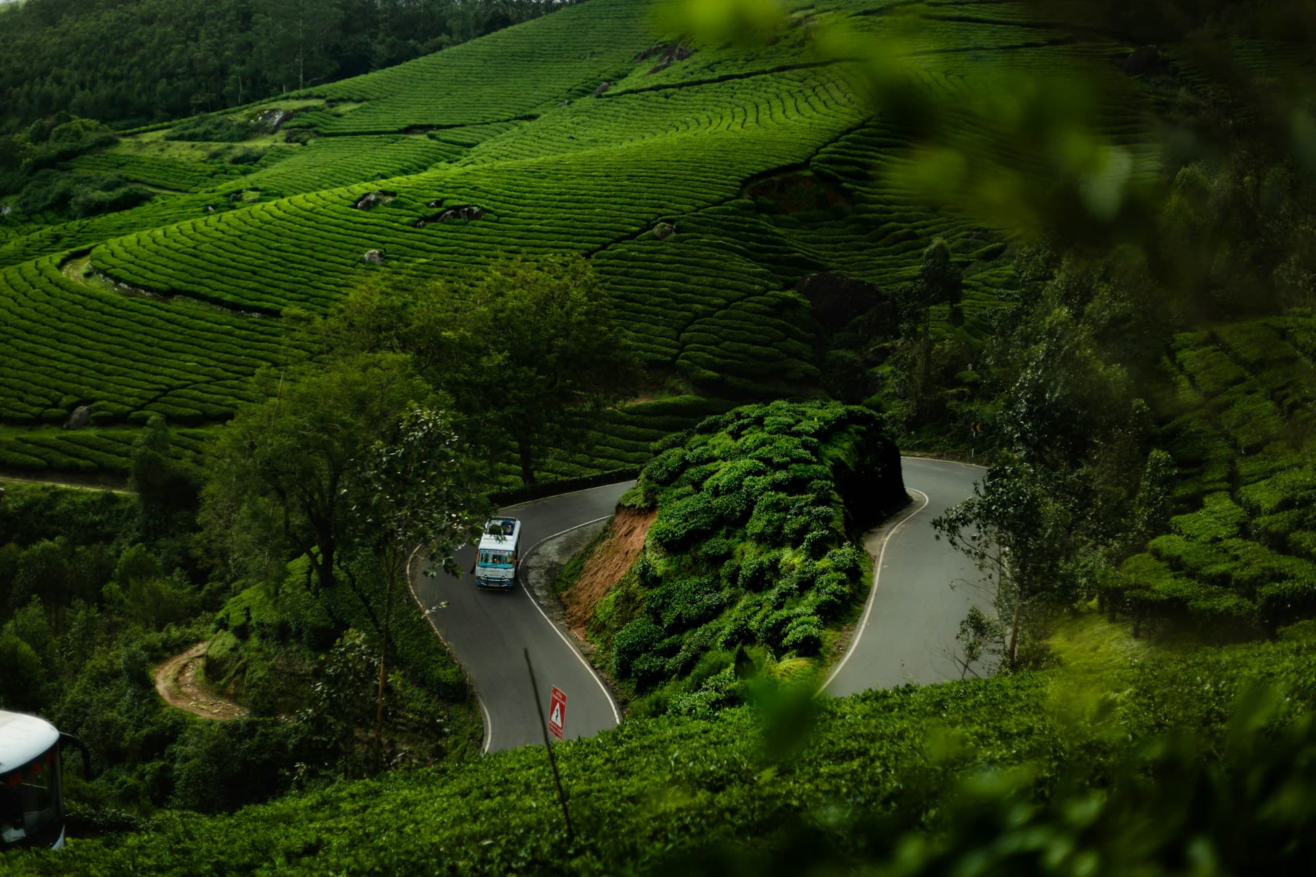 Wayanad nature background